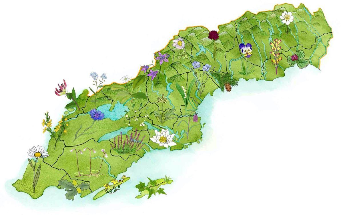 Sveriges landskapsblommor